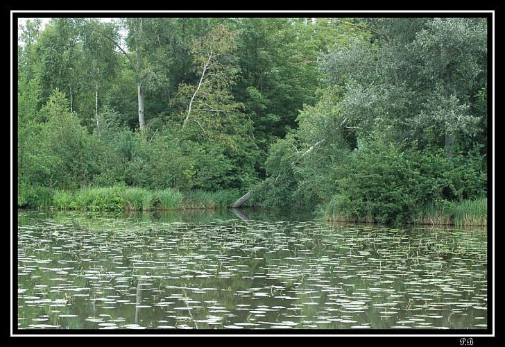 Espaces Naturels Sensibles en Val d'Essonne
