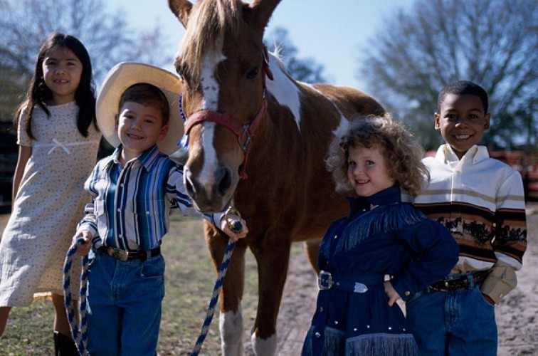 Les écuries du Vieux Moulin