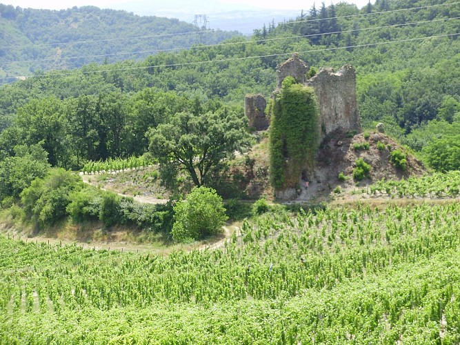 Le Belvédère des Méjeans