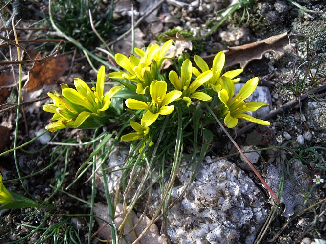Le Belvédère de Pierre Aiguille