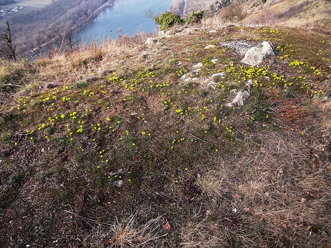Le Belvédère de Pierre Aiguille
