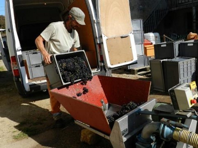 Domaine de la Belière