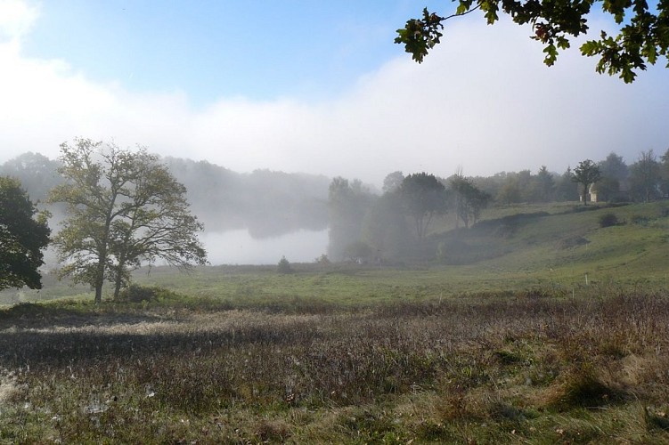 L'abeille des Monts de Blond - Miels, pain d'épices, nougat et hydromel bios