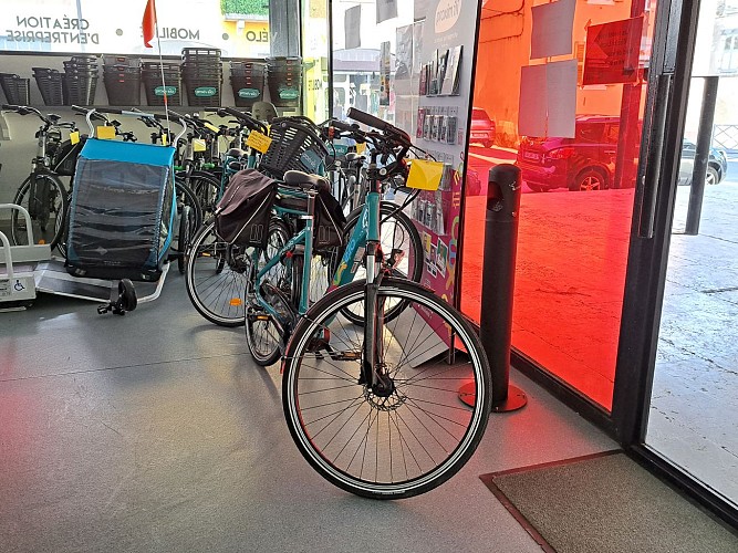 Proxivélo- Service de location vélo