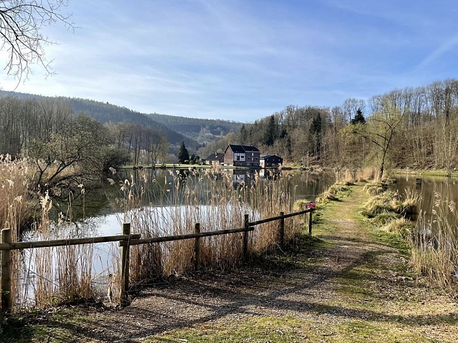 Les étangs de Stavelot