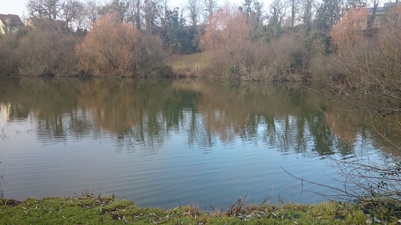 étang de pêche de Roches-Prémarie-Andillé