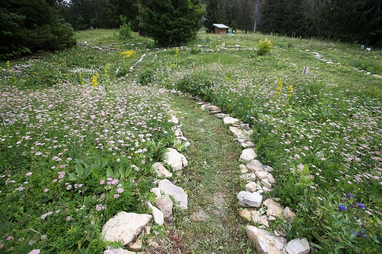 Giardino alpino