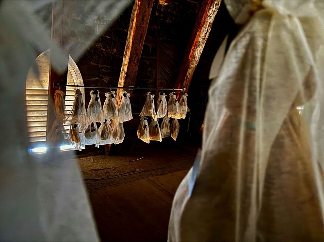 De St-Pieterskathedraal van St-Flour