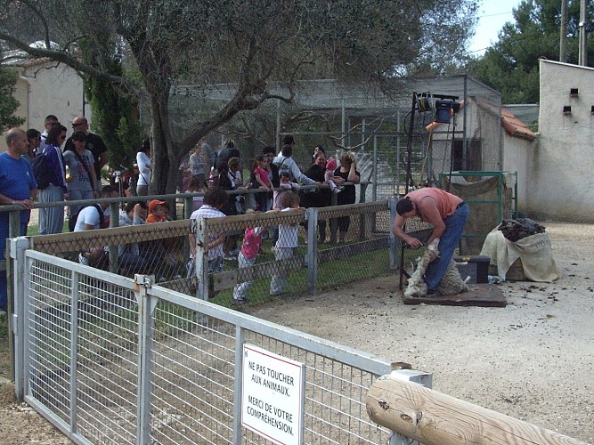 Educational farm of the Parc de Figuerolles