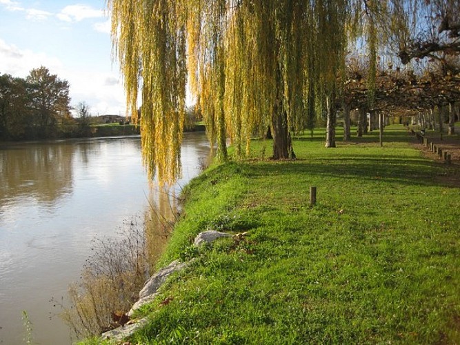 Camping de Grenade sur l'Adour