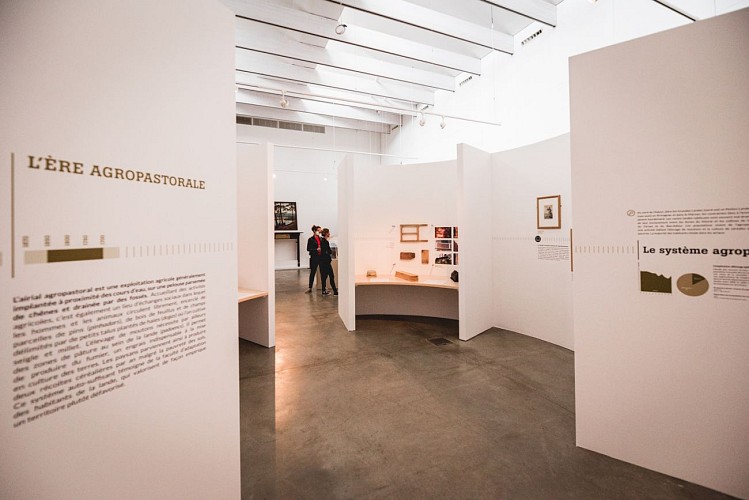 L'exposition temporaire 2021