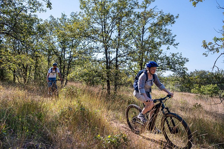 vtt causse 2024 web-17 2