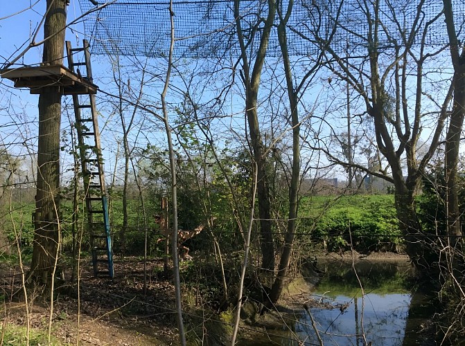 beauregard-aventure-accrobranche