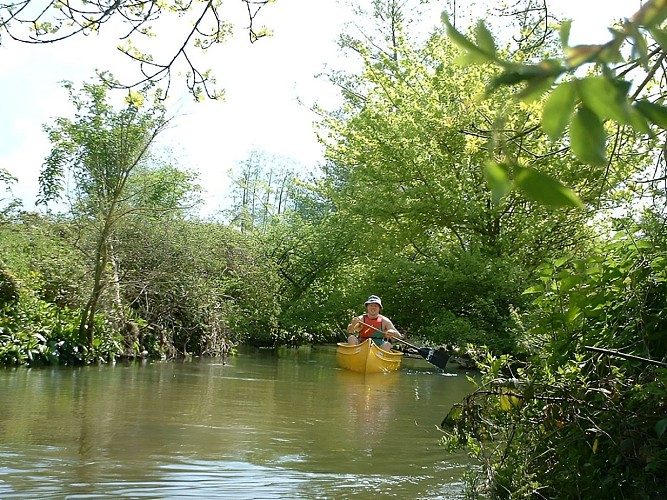 Au départ de Vendeuvre, la Dives en canoë