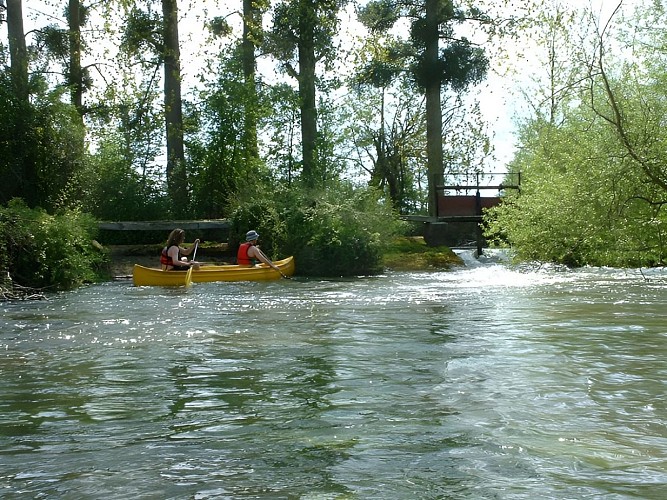 Descente de la Dives en canoë