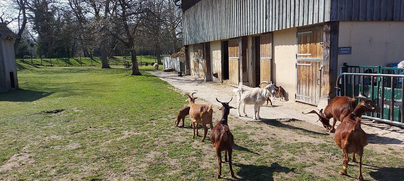 Parc et ferme des Gondoles