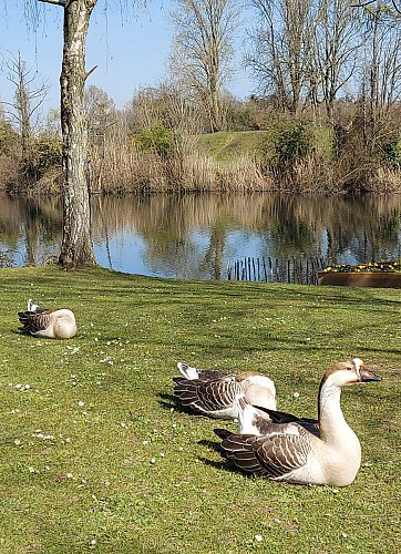 Parc et ferme des Gondoles