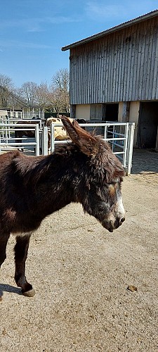 Parc et ferme des Gondoles