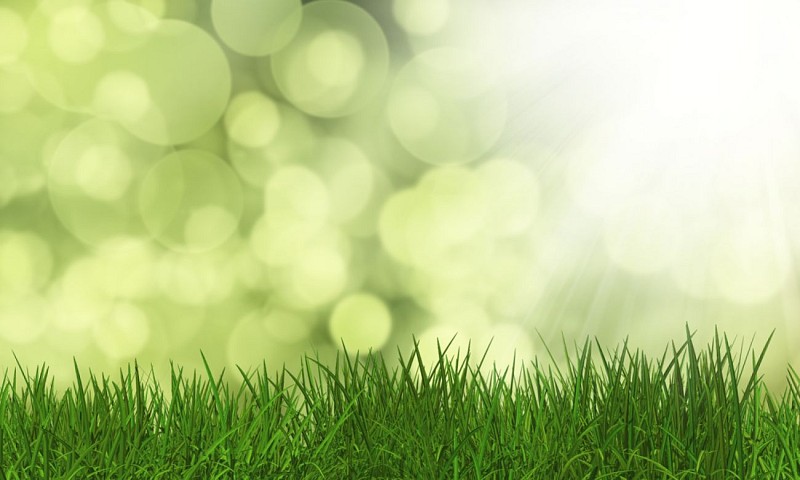 Tourbière de la Ribière de Gladière