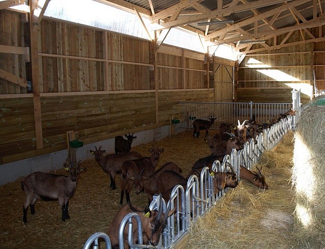 Ferme de la chèvre Bleue_3