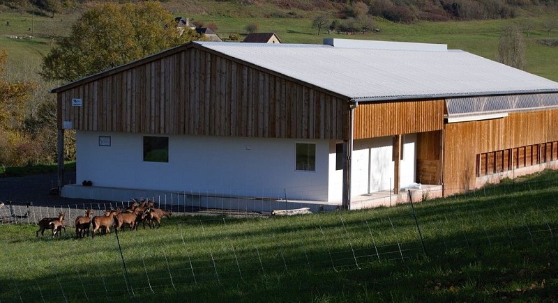 Ferme de la chèvre Bleue_6