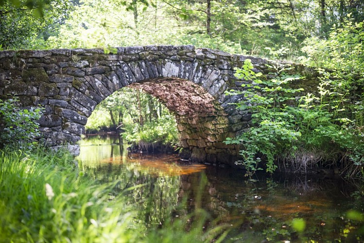 Pont de Varieras