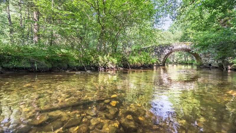 Pont de Varieras