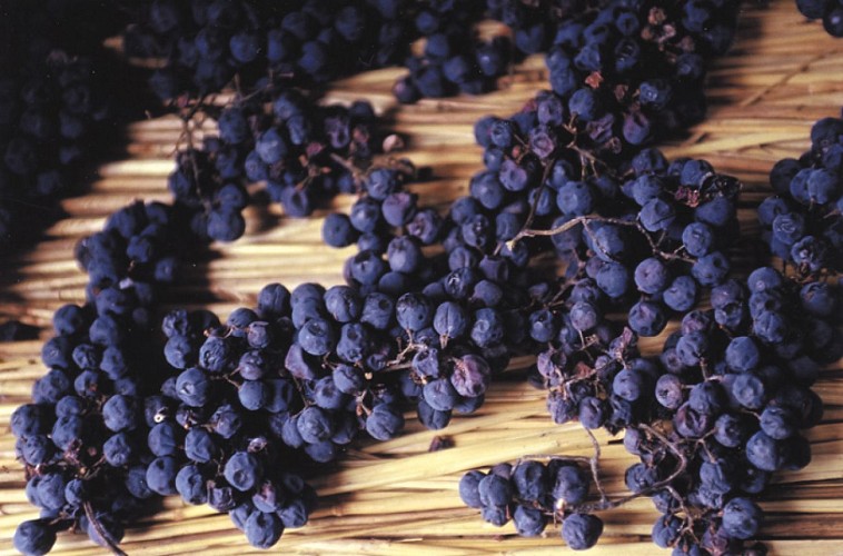 Vin de paille AOC de Corrèze Le miel des muses