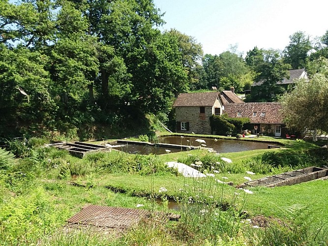 Pisciculture du domaine du Moulin Authier, production de truites et produits frais