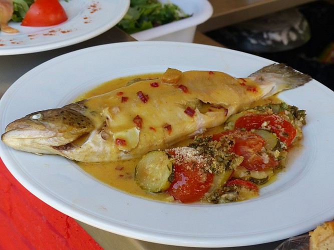 Pisciculture du domaine du Moulin Authier, production de truites et produits frais