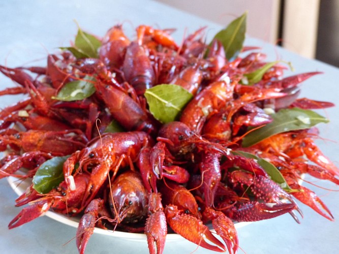 Pisciculture du domaine du Moulin Authier, production de truites et produits frais