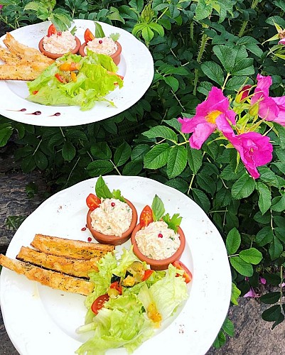 domaine du moulin authier producteur_7