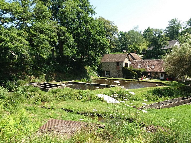 Pisciculture du Moulin Authier (copie)