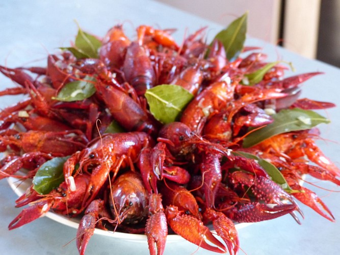 Pisciculture du Moulin Authier (copie)