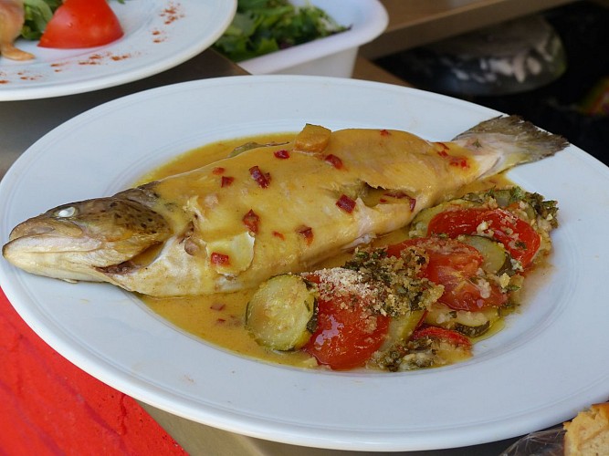 Pisciculture du Moulin Authier (copie)