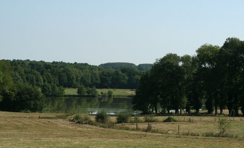 Teich "Étang de Puy Gaillard"