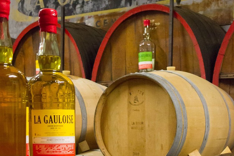 Distillerie--Anne-Sophie-Dubreuil--3-