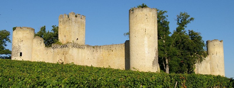 Château de Budos - BUDOS - La Gironde du Sud