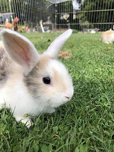 Le Clos Saint-Fiacre