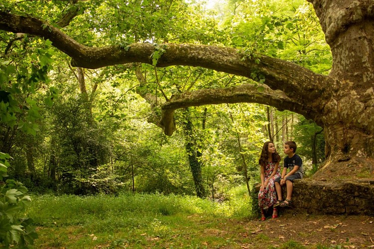 cheronnac-2019-otpol-peyrassoulat