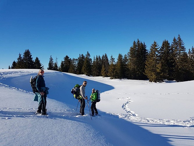 Accompagnateur en moyenne montagne - Didier Cottereau