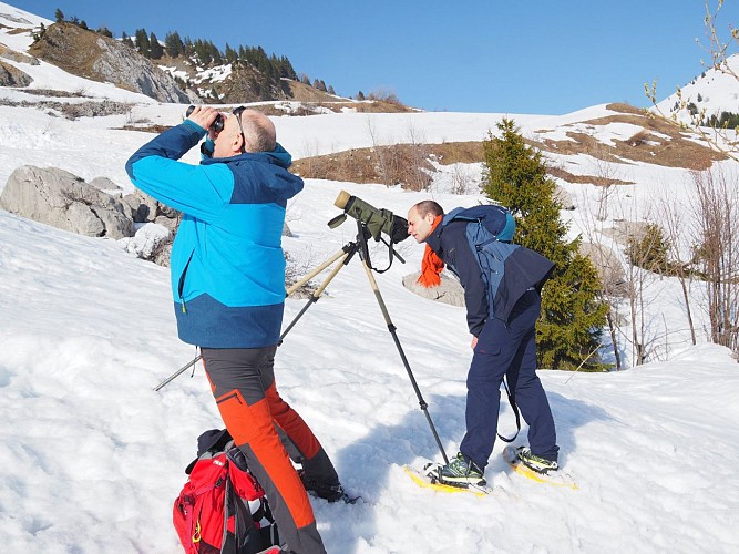 Accompagnateur en moyenne montagne - Didier Cottereau