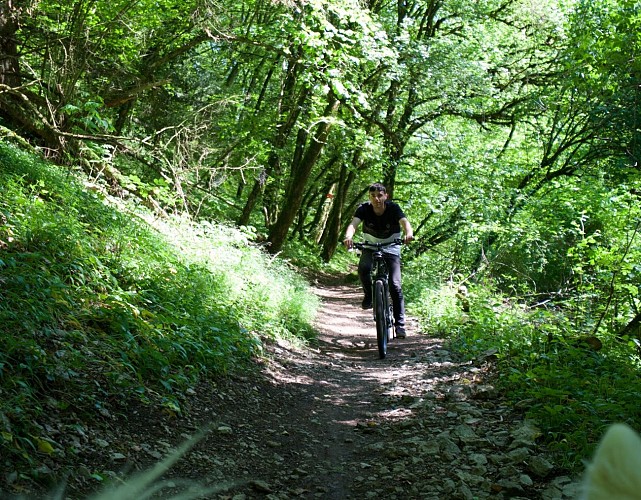 K2 Outdoor - Bike Hire