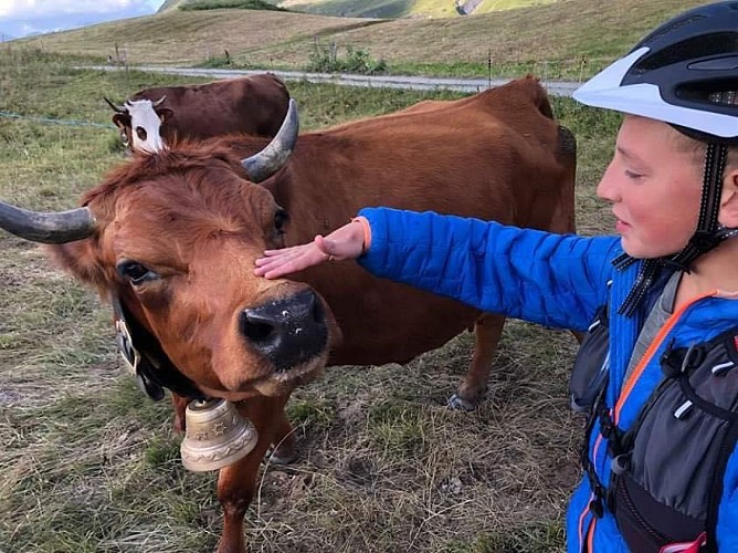 Mustang - Escuela de ciclismo Albiez