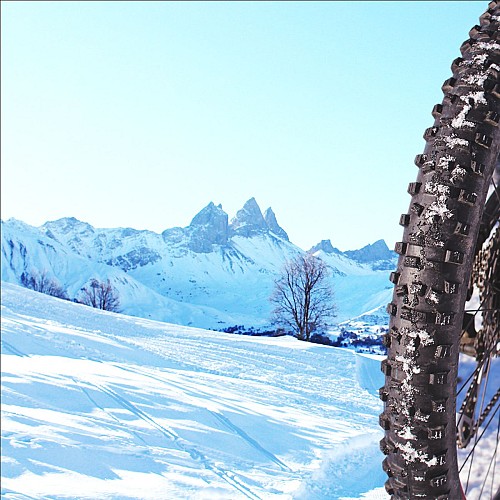 Mustang - Scuola di ciclismo Albiez