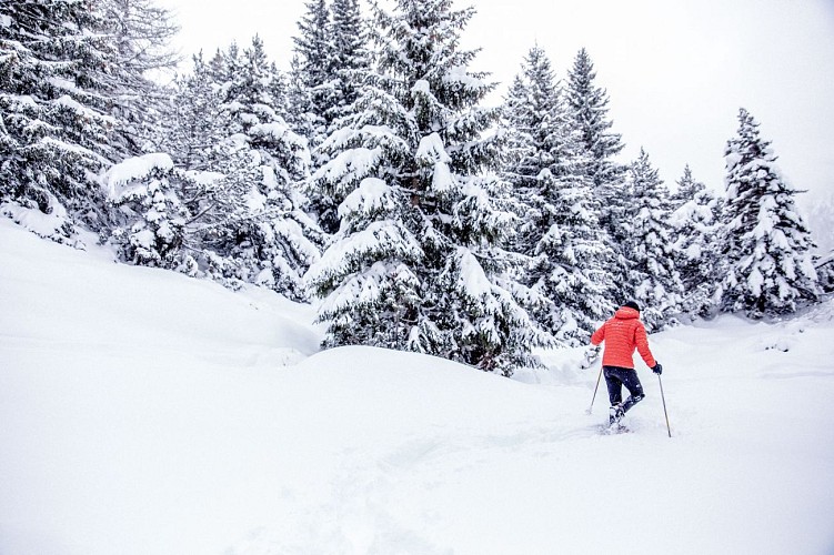Jérôme Furbeyre - Accompagnateur en montagne