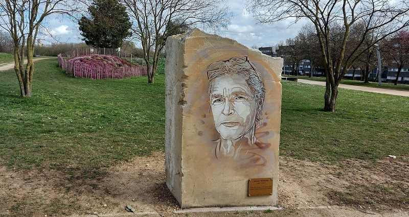 Homage à Janusz Michalski