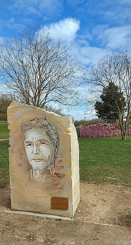 Homage à Janusz Michalski