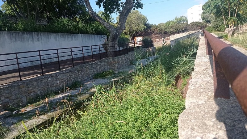 Site archéologique de Tholon