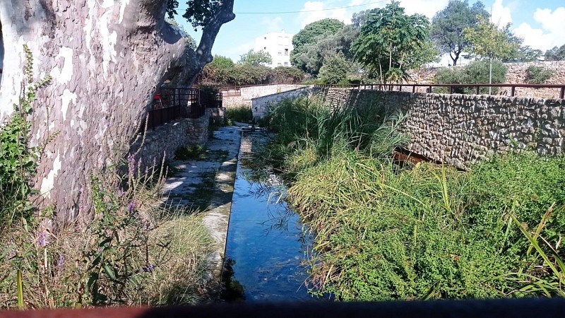 Site archéologique de Tholon